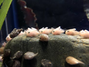 新江ノ島水族館に投稿された画像（2021/9/13）