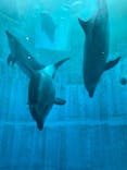 名古屋港水族館に投稿された画像（2021/9/14）