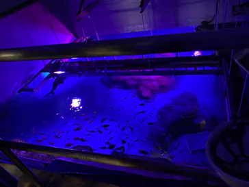 横浜・八景島シーパラダイスに投稿された画像（2021/9/14）