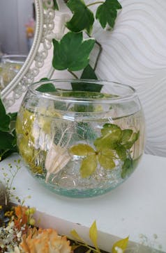 ずこうしつ〜sugamo〜に投稿された画像（2021/9/14）