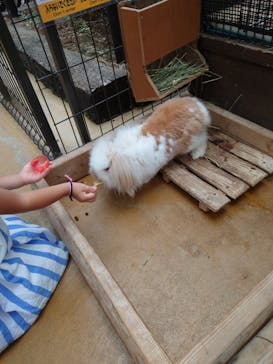 神戸どうぶつ王国に投稿された画像（2021/9/14）