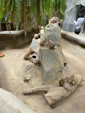 神戸どうぶつ王国に投稿された画像（2021/9/14）