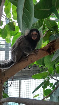 神戸どうぶつ王国に投稿された画像（2021/9/14）