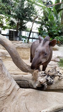 神戸どうぶつ王国に投稿された画像（2021/9/14）