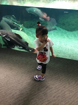 大分マリーンパレス水族館 「うみたまご」に投稿された画像（2021/9/14）