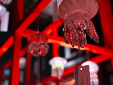 京都水族館に投稿された画像（2021/9/14）