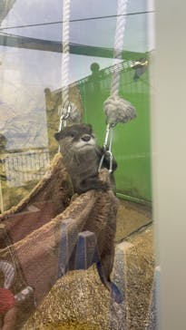 新江ノ島水族館に投稿された画像（2021/9/14）