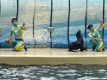 新江ノ島水族館に投稿された画像（2021/9/14）