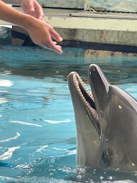 新江ノ島水族館に投稿された画像（2021/9/14）