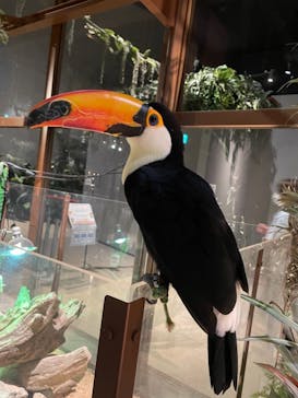 Moff animal world MARK IS みなとみらい店に投稿された画像（2021/9/15）