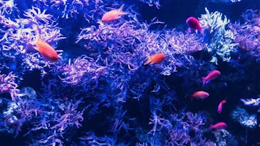 名古屋港水族館に投稿された画像（2021/9/15）