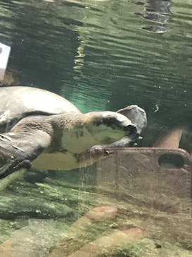 名古屋港水族館に投稿された画像（2021/9/15）