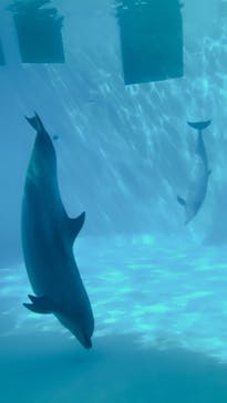 名古屋港水族館に投稿された画像（2021/9/15）