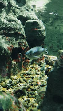 名古屋港水族館に投稿された画像（2021/9/15）