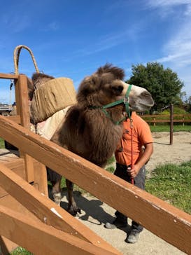 那須どうぶつ王国に投稿された画像（2021/9/15）