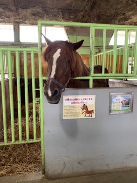那須高原りんどう湖ファミリー牧場に投稿された画像（2021/9/15）