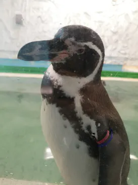 天王寺動物園に投稿された画像（2021/9/15）