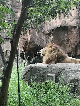 天王寺動物園に投稿された画像（2021/9/15）