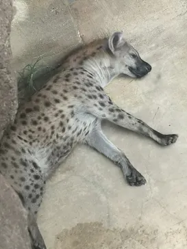 天王寺動物園に投稿された画像（2021/9/15）