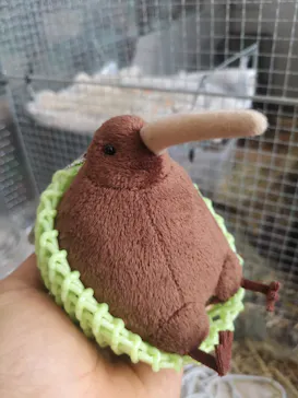 天王寺動物園に投稿された画像（2021/9/15）