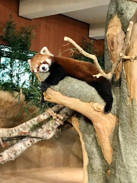 ネオパークオキナワに投稿された画像（2021/9/15）