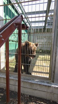 東武動物公園に投稿された画像（2021/9/15）