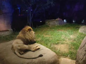 天王寺動物園に投稿された画像（2021/9/15）