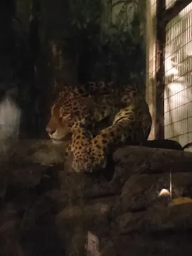 天王寺動物園に投稿された画像（2021/9/15）