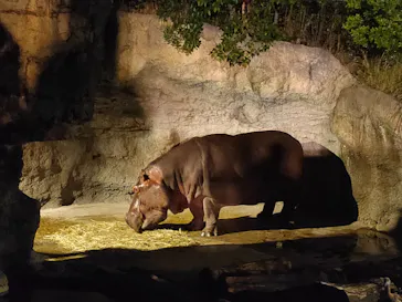 天王寺動物園に投稿された画像（2021/9/15）