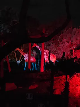 天王寺動物園に投稿された画像（2021/9/15）