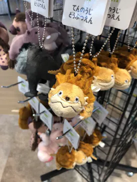 天王寺動物園に投稿された画像（2021/9/15）