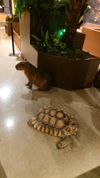 Moff animal world MARK IS みなとみらい店に投稿された画像（2021/9/16）