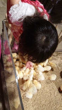 Moff animal world MARK IS みなとみらい店に投稿された画像（2021/9/16）