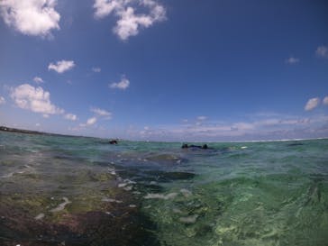 武藤潜水に投稿された画像（2021/9/16）