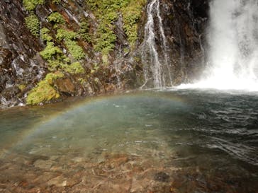 Nikko Jumbo（日光ジャンボ）に投稿された画像（2021/9/16）