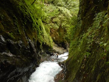 Nikko Jumbo（日光ジャンボ）に投稿された画像（2021/9/16）