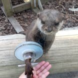 横浜・八景島シーパラダイスに投稿された画像（2021/9/16）