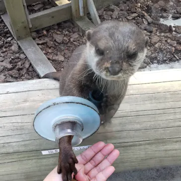 横浜・八景島シーパラダイスに投稿された画像（2021/9/16）