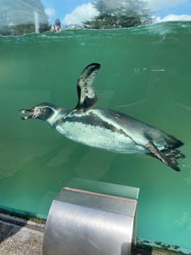 東武動物公園に投稿された画像（2021/9/16）