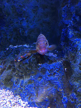 すみだ水族館に投稿された画像（2021/9/16）