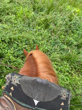 クリオステーブルに投稿された画像（2021/9/16）