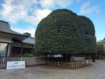 江戸東京たてもの園に投稿された画像（2021/9/16）