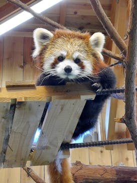 伊豆シャボテン動物公園に投稿された画像（2021/9/16）