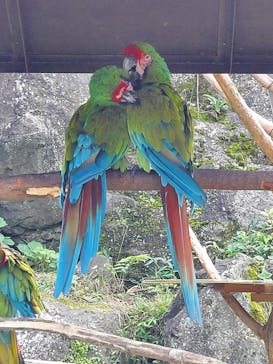 伊豆シャボテン動物公園に投稿された画像（2021/9/16）