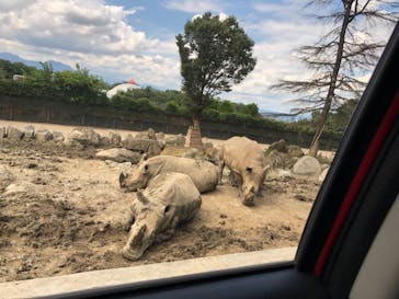 群馬サファリパークに投稿された画像（2021/9/16）