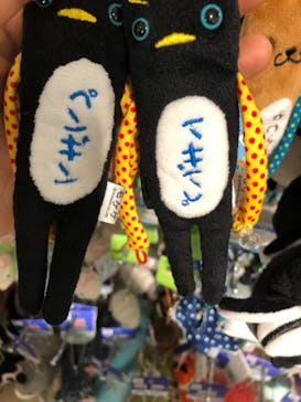 サンシャイン水族館に投稿された画像（2021/9/16）