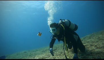 マリンズプロ宮古に投稿された画像（2021/9/16）