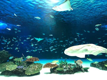 サンシャイン水族館に投稿された画像（2021/9/16）