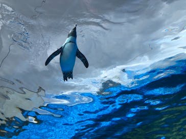 サンシャイン水族館に投稿された画像（2021/9/16）