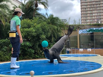 サンシャイン水族館に投稿された画像（2021/9/16）
